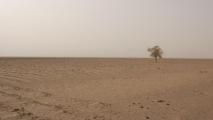 Намаляване на биологичното разнообразие заплаха за човечеството и земята