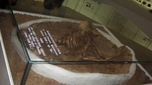 Да подкрепим нашата Тодорка