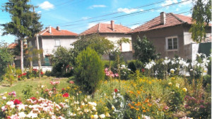 Отличиха найкрасивите градинки в Павликени