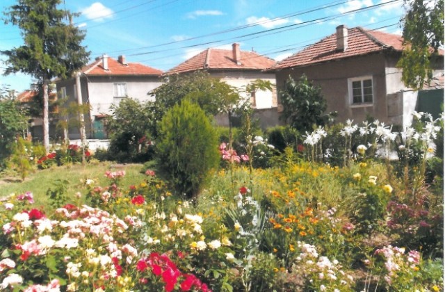 Отличиха най-красивите градинки в Павликени