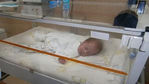 1696 бебета родени от началото на 2013 г