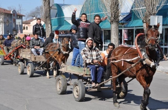 Забраняват движението на коне и крави по улиците на Хасково