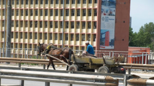 Гласуват окончателна забрана за движение на каруци в Пловдив