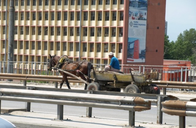 Гласуват окончателна забрана за движение на каруци в Пловдив