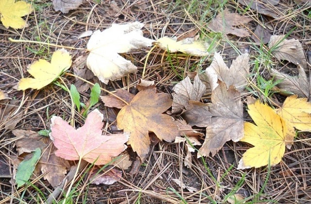 Ветровито, с превалявания