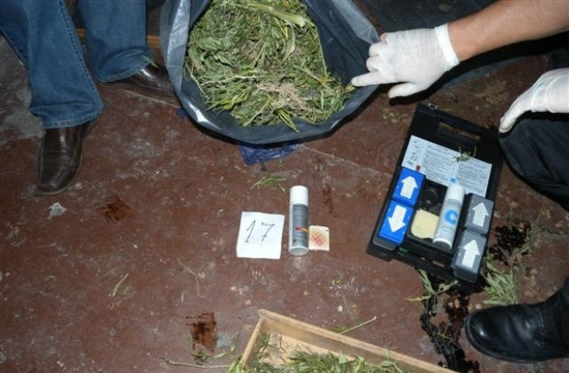 77 кг канабис иззеха полицаи от мъж в Търговищко