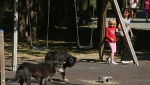 Варненски природозащитници излизат на протест