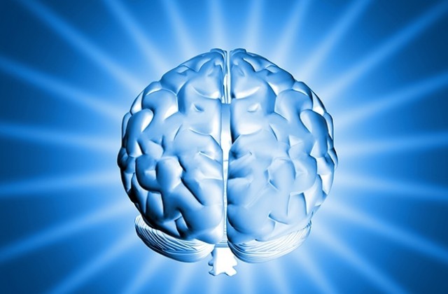 Сексът подобрява работата на мозъка