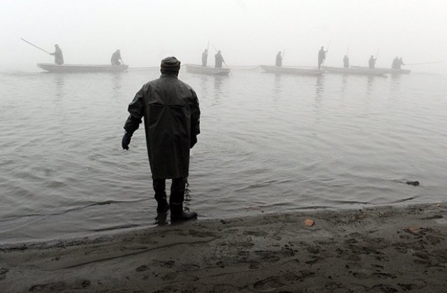 Британец улови шаран, тежащ 61 кг