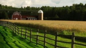 Устойчиво земеделие и добри земеделски практики