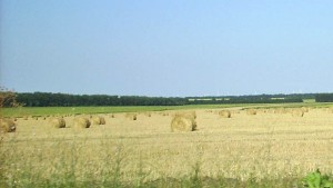 Цените на земеделската земя падат прогнозират пониски ренти