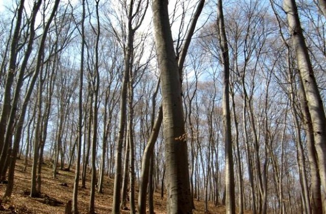 Правителството учреди сервитут в полза на община Шумен за изграждане на водопровод
