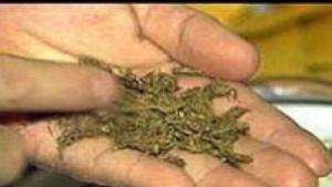 Хванаха надрусан младеж да шофира в Трявна