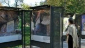 Изложба на Кольо Фичето в София