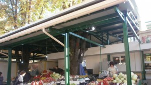 Ремонтират пазара в Чародейка следващата година