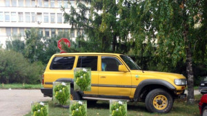 Кауза Разград спира шофьоринарушители с фиданки