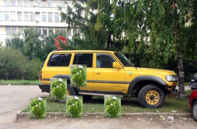 „Кауза Разград“ спира шофьори-нарушители с фиданки