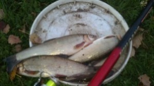 Хванаха бракониер на река Струма