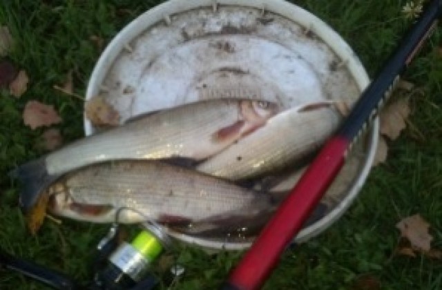 Хванаха бракониер на река Струма