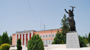 Празник на Борован