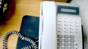 Дай 6 500 евро за свински грип