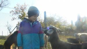 Приютът за пострадали животни в Орешак на ръба на оцеляването