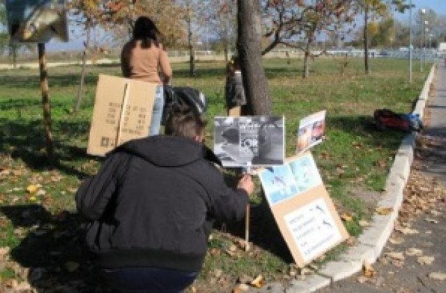 Десет души в граждански протест срещу Океанариума