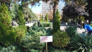 ДДД атакува кърлежи плъхове и стършели