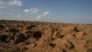 Какво си навлича България с мораториума за земята