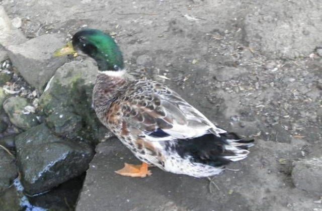 Предимно слънчево