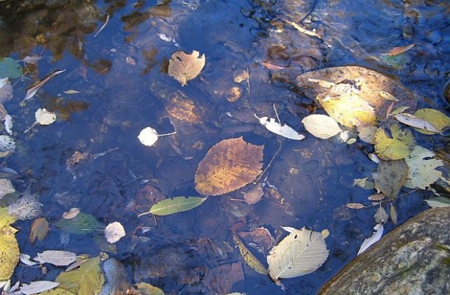 И през ноември ще се радваме на дни с високи температури