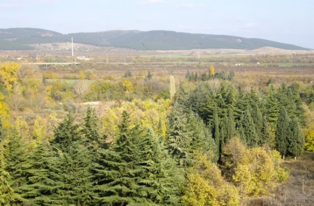 Защитниците на Бедечка: Хората в града не знаят какво се случва с парка