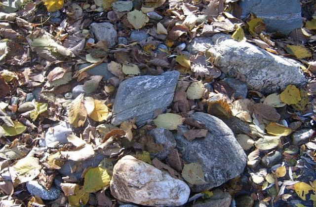 Температурите леко се понижават