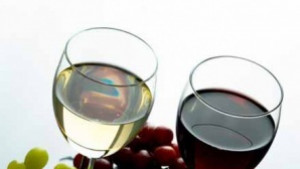 Юбилеи в ПМГ и Началното училище в Раждавица