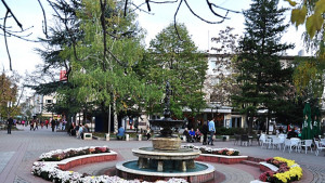 Крадат цветя от градинките