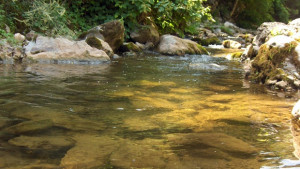 Река Лева тече мътна заради водния цикъл