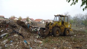 Извозиха над 700 кубика буклук от ореховата гора във Враца