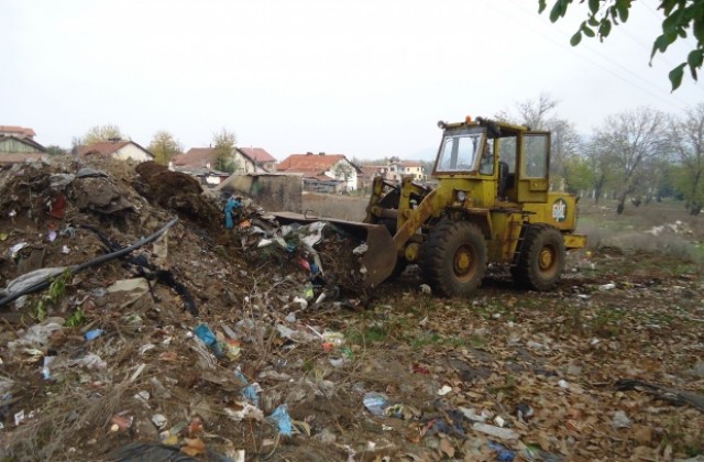 Извозиха над 700 кубика буклук от ореховата гора във Враца