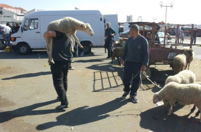 Животновъдите готови да блокират границата ни с Турция