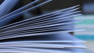 ДСБ поздрави варненци за Деня на будителите