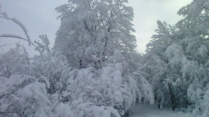 УКВрадиостанции вместо мобилни телефони за аварийните екипи