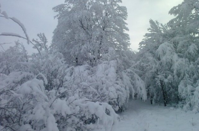 УКВ-радиостанции, вместо мобилни телефони за аварийните екипи
