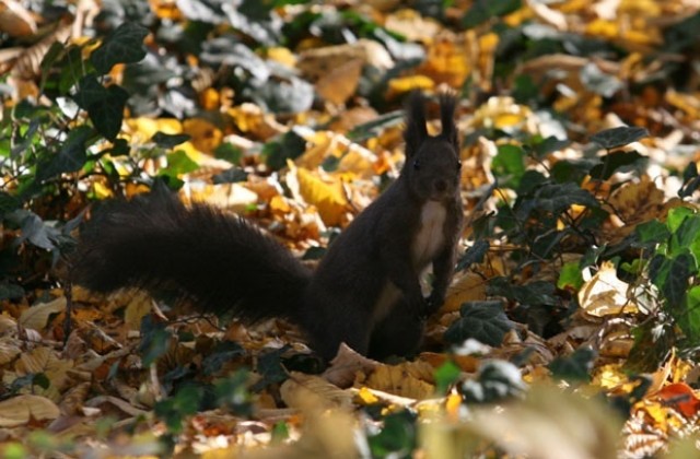 Отново необичайно топло