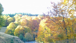 Мъгла в Кюстендил слънце в Осоговската планина