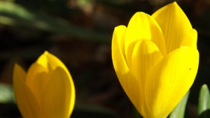 С топло време започва седмицата