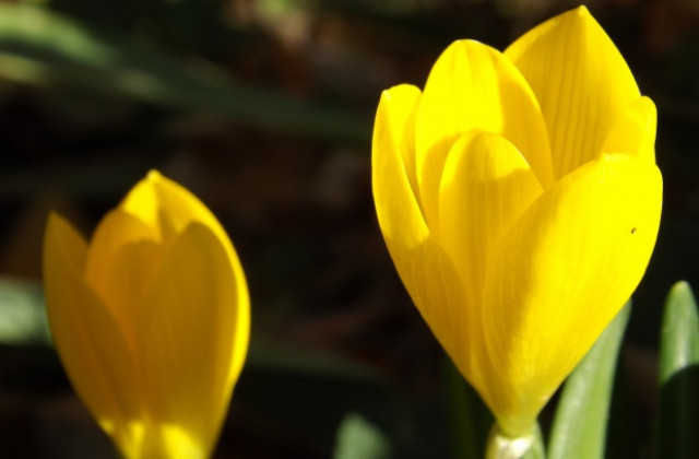 С топло време започва седмицата