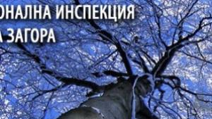 Трима са кандидатите за шеф на РИОСВСтара Загора