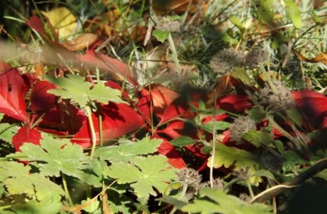 Топло за сезона, живакът отново скача до 24°