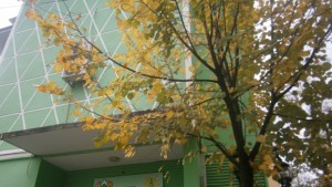 Васил Пуров смени Здравчо Тодоров в РДГ Кюстендил