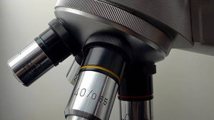 В Южна Корея разработиха супер полимер